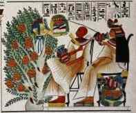 A Goddess in a tree brings food