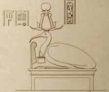 Champollion found this ibis in what he called the Dakkeh Temple of Thoth, 1835