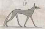 Greyhound by G Angelelli 1832